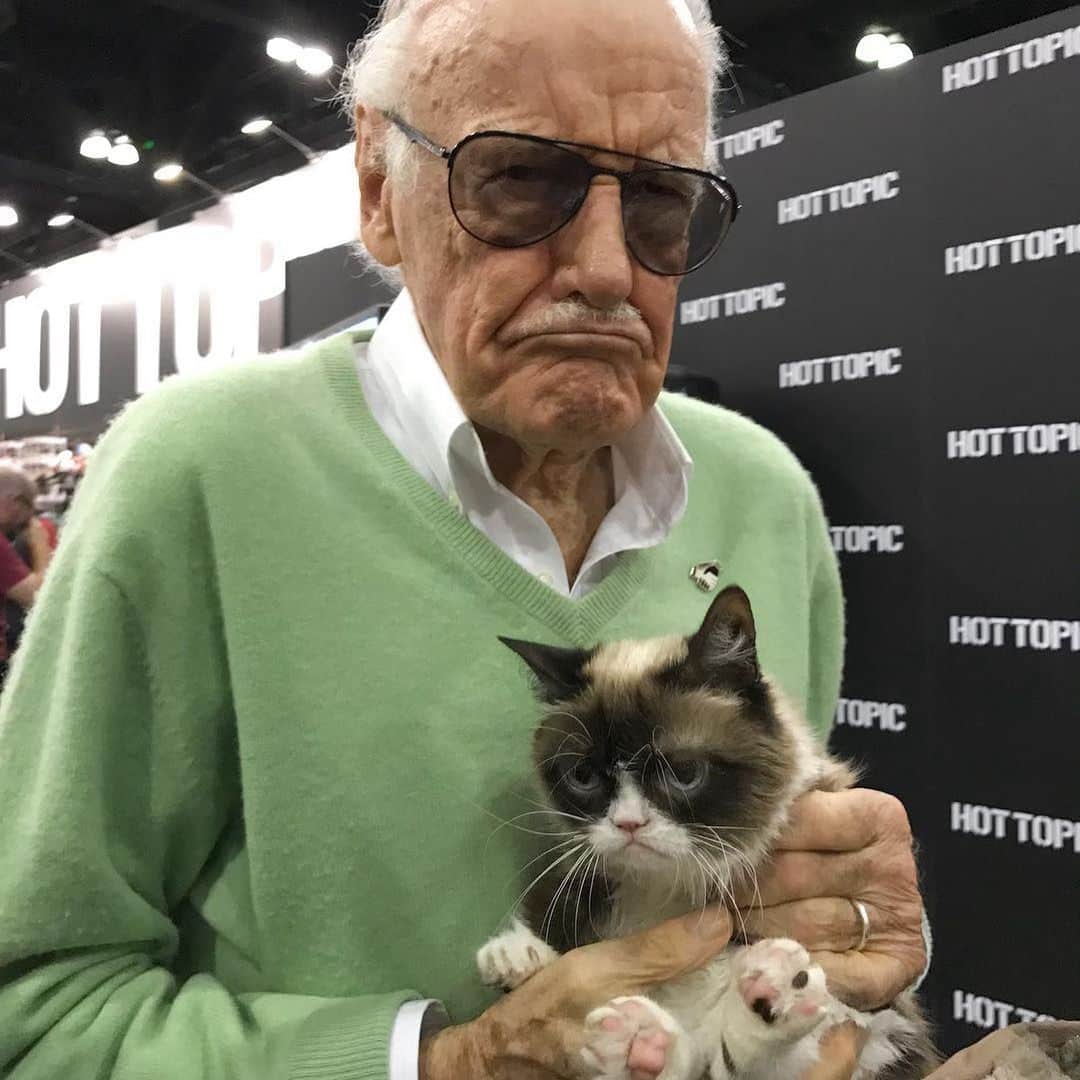 9GAGさんのインスタグラム写真 - (9GAGInstagram)「RIP Grumpy Cat. Thank you for bringing us all the memes and joy over the years. @realgrumpycat」5月17日 20時06分 - 9gag