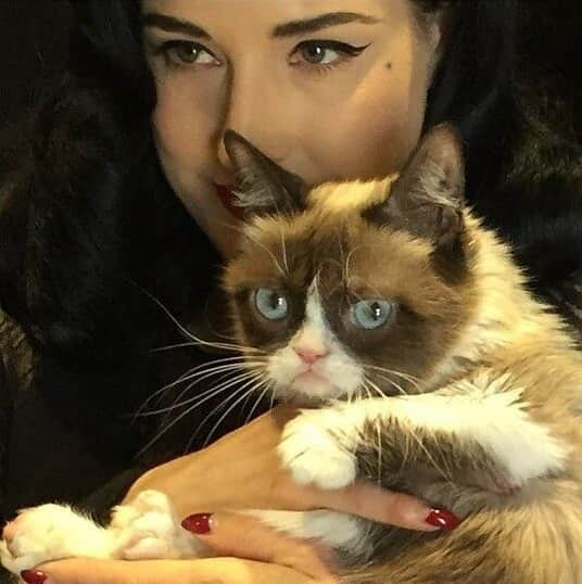 ディタ・フォン・ティースさんのインスタグラム写真 - (ディタ・フォン・ティースInstagram)「Rest In Peace, dear little @realgrumpycat 💔 I was soooooo star struck the day I met her, so tiny and delicate, but she possessed unforgettable gravitas!  #grumpycat」5月17日 20時20分 - ditavonteese