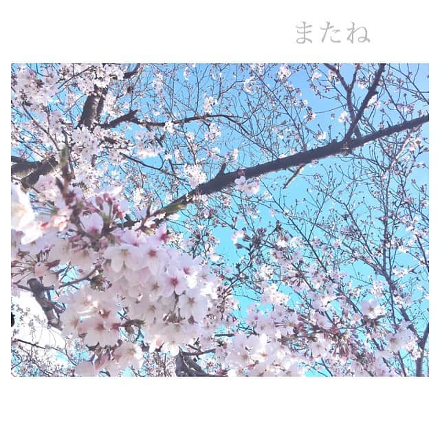 竹内彩姫さんのインスタグラム写真 - (竹内彩姫Instagram)「． もう暑いくらい。夏に近づいてるね☺︎」5月17日 20時17分 - takeuchisaki_1124
