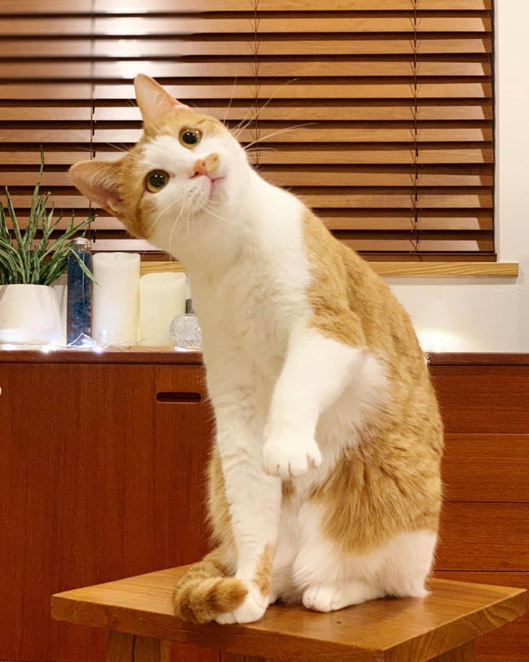 近藤研二のインスタグラム