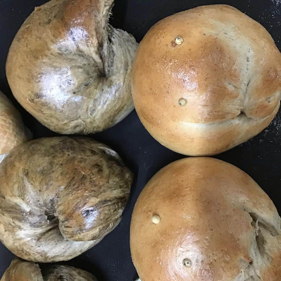 魔女菅原のグルメインスタ