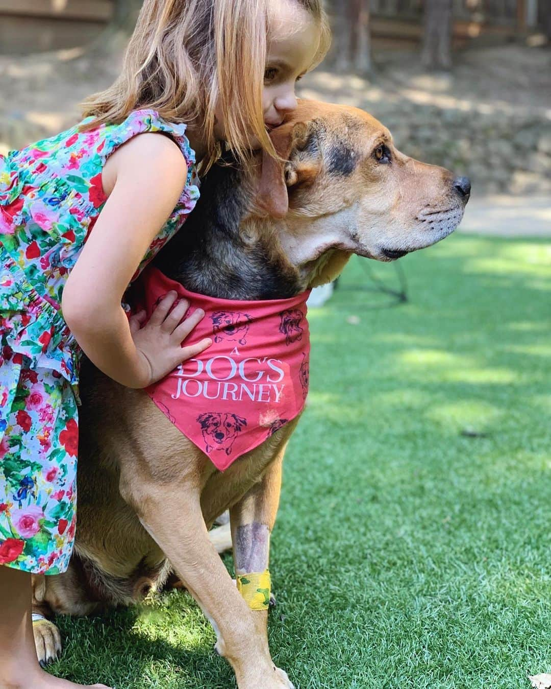 ジェシカ・シーバさんのインスタグラム写真 - (ジェシカ・シーバInstagram)「I had the wonderful opportunity of hosting a special screening of A Dog's Journey in Los Angeles this week! The movie comes out tomorrow, and I can tell you that of all the heartwarming scenes, the one from the rescue fair did me right in! It's a poignant and beautiful story and I absolutely cried my face off! @ADogsJourneyMovie #ADogsJourney #ad」5月17日 11時44分 - mommasgonecity