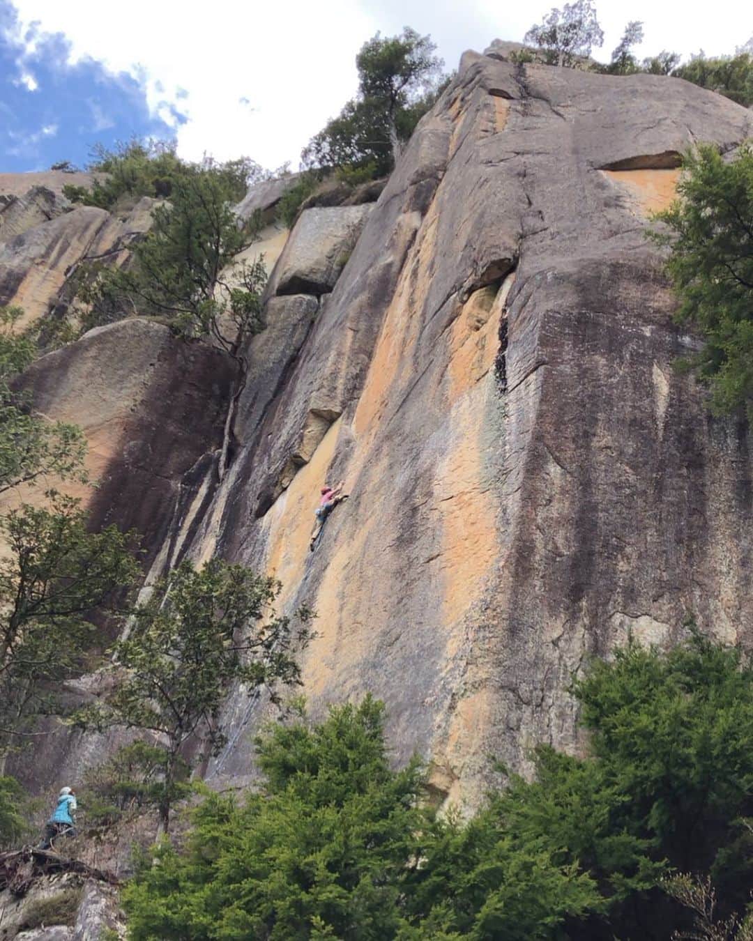 植田夢月のグルメインスタ