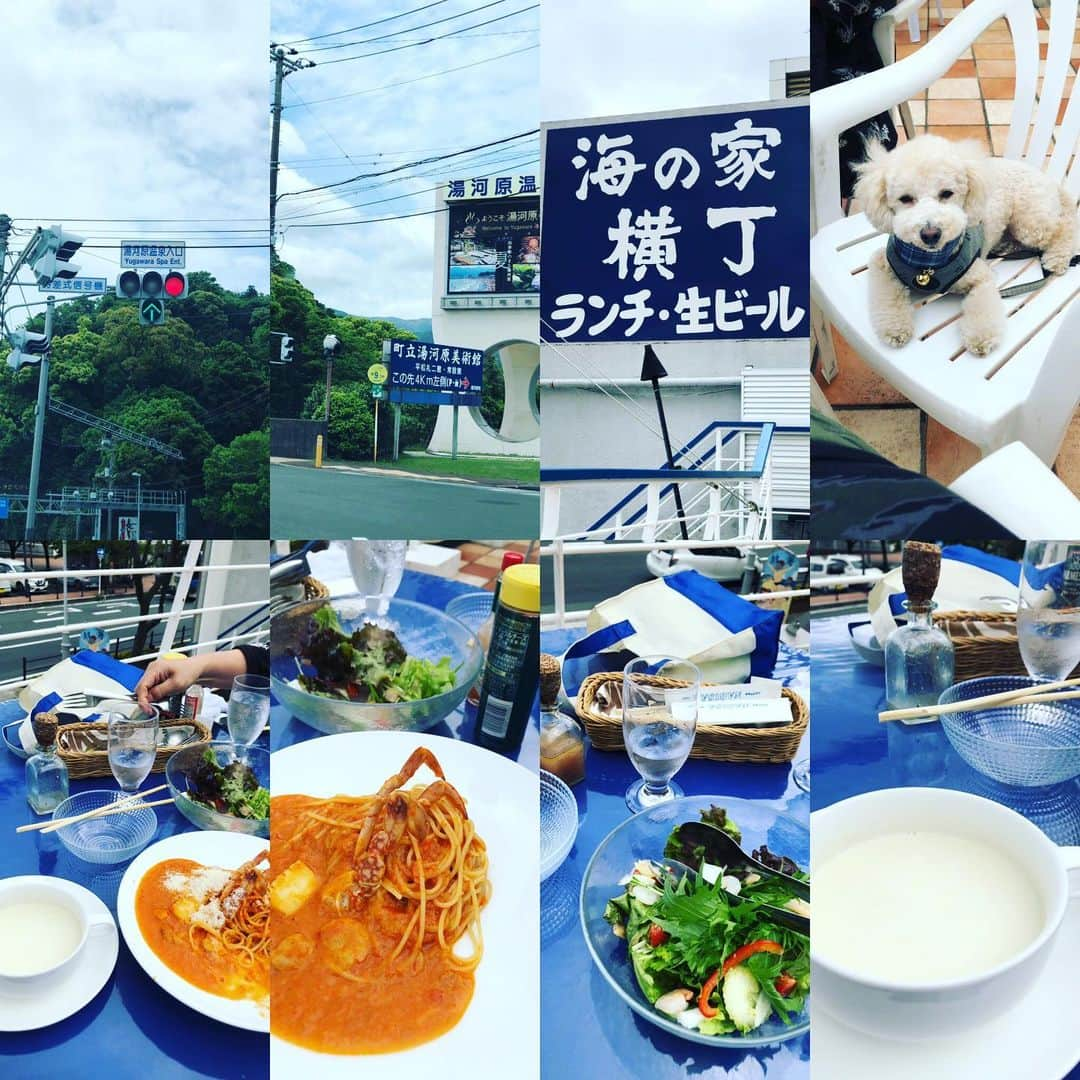 金村義明さんのインスタグラム写真 - (金村義明Instagram)「＃二泊三日#伊豆高原#金曜日バラいろダンディ生放送#GW休み終了#リセット」5月17日 12時33分 - yoshiaki_kanemura