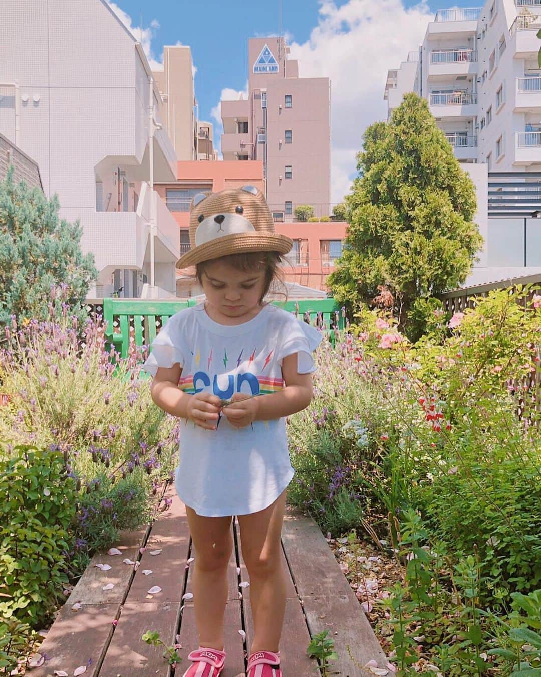 キャシー中島さんのインスタグラム写真 - (キャシー中島Instagram)「* 我が家のバラがたくさん咲きました。 ハルコは水遊びの季節の到来に 大喜び❣️」5月17日 12時35分 - official_kathynakajima