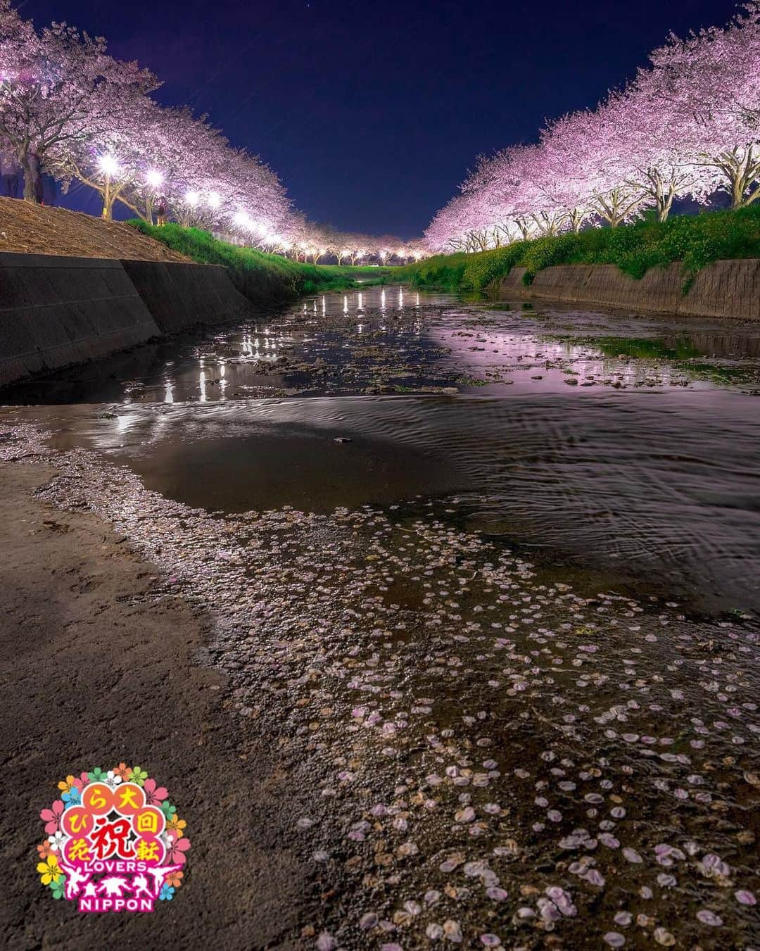 Only Japanese photographsさんのインスタグラム写真 - (Only Japanese photographsInstagram)「🌸Lovers春チャレンジ 花びら大回転2019🌸  Today's 花びら二スト: 🏆 @tomokiman10 🏆 Challenge Tag : #花びら大回転2019 Location : 福岡県(Fukuoka. Japan) Photo selected : @rphafoto ￣￣￣￣￣￣￣￣￣￣￣￣￣￣￣￣￣￣￣￣ 🌸🌷Congratulations❗️🌺☘ ㊗️おめでとうございます🎉🎉🎉 ⁑ ￣￣￣￣￣￣￣￣￣￣￣￣￣￣￣￣￣￣￣￣ 『Lovers Nipponからのお願い』  都道府県のみでも結構ですので必ず国内の撮影場所を明記ください。 風景【 #Lovers_Nippon 】 ポートレート【 #Lovers_Nippon_Portrait 】 アート【 #Lovers_Nippon_Artistic 】 ￣￣￣￣￣￣￣￣￣￣￣￣￣￣￣￣￣￣￣￣」5月17日 13時31分 - lovers_nippon