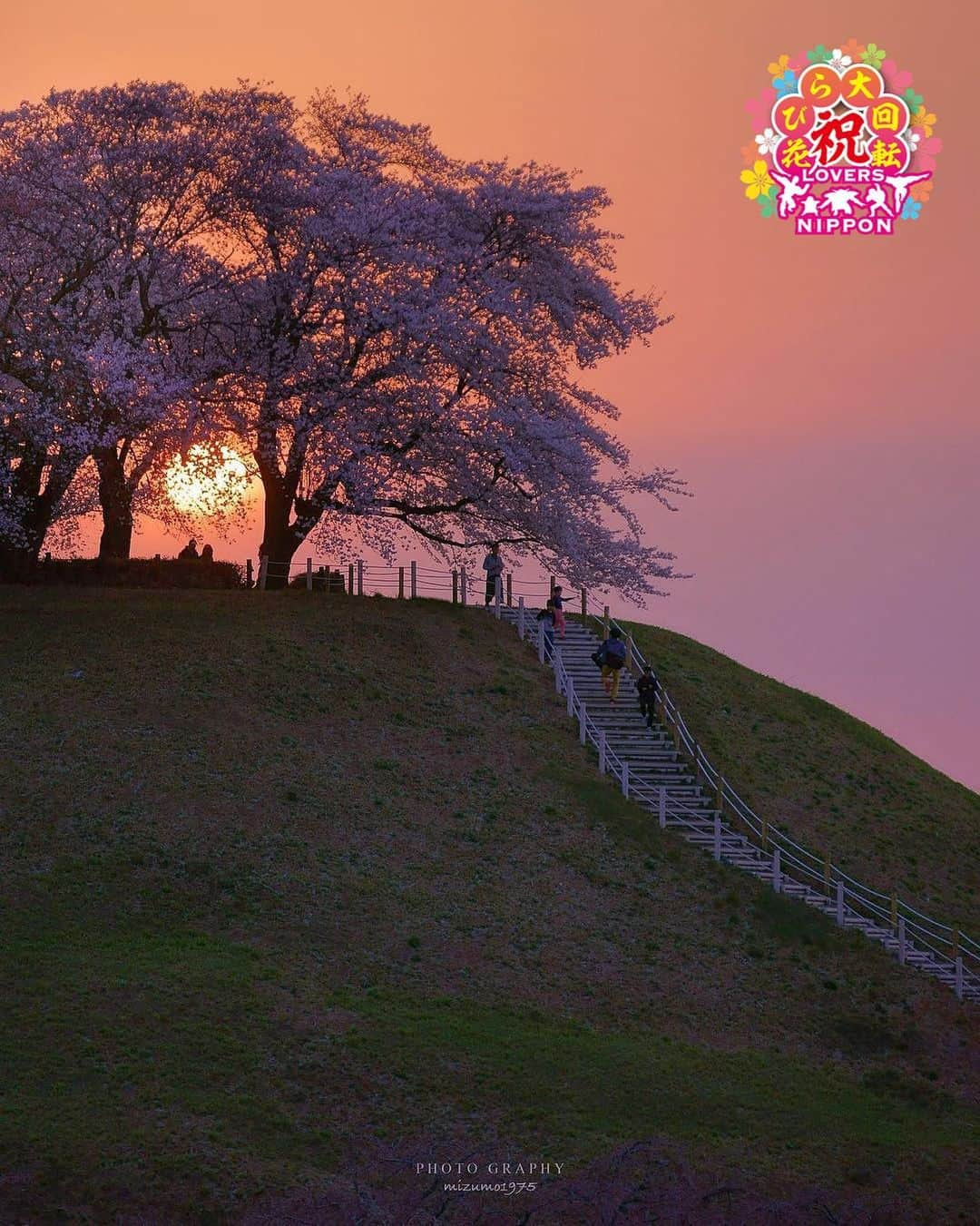 Only Japanese photographsさんのインスタグラム写真 - (Only Japanese photographsInstagram)「🌸Lovers春チャレンジ 花びら大回転2019🌸  Today's 花びら二スト: 🏆 @mizumo1975 🏆 Challenge Tag : #花びら大回転2019 Location : 埼玉県(Saitama. Japan) Photo selected : @rphafoto ￣￣￣￣￣￣￣￣￣￣￣￣￣￣￣￣￣￣￣￣ 🌸🌷Congratulations❗️🌺☘ ㊗️おめでとうございます🎉🎉🎉 ⁑ ￣￣￣￣￣￣￣￣￣￣￣￣￣￣￣￣￣￣￣￣ 『Lovers Nipponからのお願い』  都道府県のみでも結構ですので必ず国内の撮影場所を明記ください。 風景【 #Lovers_Nippon 】 ポートレート【 #Lovers_Nippon_Portrait 】 アート【 #Lovers_Nippon_Artistic 】 ￣￣￣￣￣￣￣￣￣￣￣￣￣￣￣￣￣￣￣￣」5月17日 13時34分 - lovers_nippon