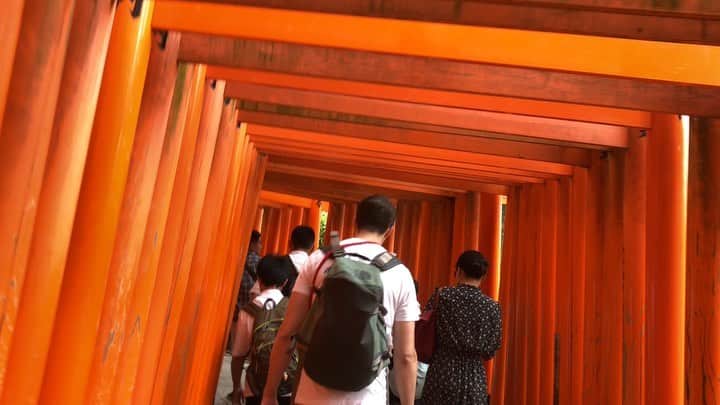 井澤惇のインスタグラム：「伏見稲荷大社にきたよ」