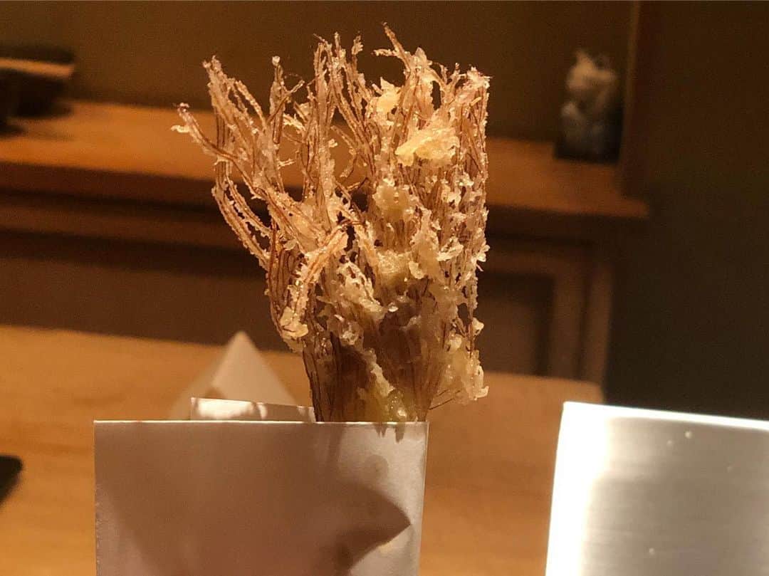 大石絵理さんのインスタグラム写真 - (大石絵理Instagram)「静岡まで天ぷらを食べに、徹の部屋でもお世話になっている見城さんがNumero familyと言ってくださり、連れてってくださりました😍😍 @numerotokyo webではコレクションレポートをさせていただいています❤︎ 素敵な皆様とおいしすぎる天ぷらで、幸せな1日でした🥰 成生の店主の志村さん、avex松浦会長、見城社長、YOUさん、Numero編集長のアコさん、ライターの岡田さんです💘😋」5月17日 13時59分 - erioishitokyo