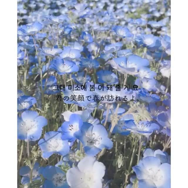 のインスタグラム：「. ミスオブミスに出てから 知り合ったくーたん( @_kuutan0601_ )が 私の誕生日に作ってくれた動画☺️💓 . . 投稿で載せてほしい！ との声が多かったので くーたんのセンスの塊動画載せます✌︎ . . ミスオブミスに出てから SNSで知り合った人と さらに仲良くなった気がする...😆✨ . 嬉しい！💓 . . . #photography #portrait #babyblueeyes #photo #movie」