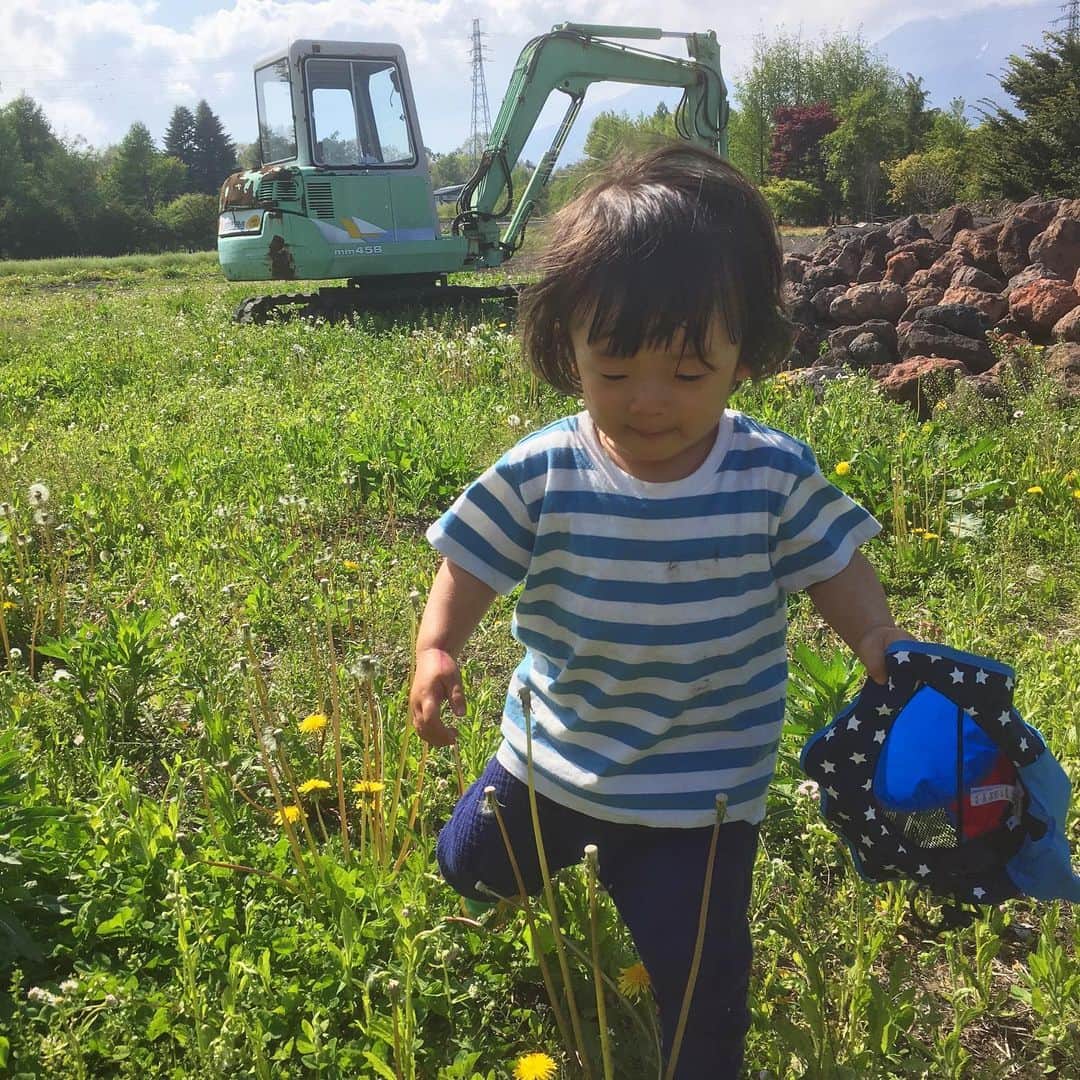 島崎直也のインスタグラム：「植物も人間も、いつの間にか、ぐんぐん成長している😄  軽井沢も暖かくなってきました😊  #kids #2歳 #軽井沢 #信州 #長野県」