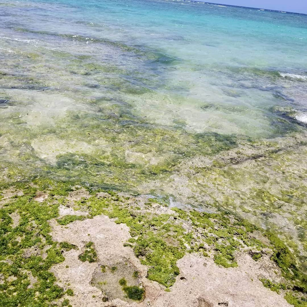 今堀恵理さんのインスタグラム写真 - (今堀恵理Instagram)「沖縄に行ってきました みんな数日前に行ってたみたいで私の周りは5月は沖縄フィーバーだなー❤  お友達のオススメグルメ行ったりしたよ☺️　@preumbeauty の小さなトート、@m.s.felice のかごバッグもかなり使えた～。　アクセサリーもお友達ブランドばっかり使ってた。みんなのブランドを身に付けれて毎日幸せです  次はどこいこかなっ。  #okinawa #たびじょ #暑い　#preum #pool #海　#夏ファッション 　#パニラニ 　#ぽーくたまごおにぎり本店 　#那覇 　#prettie  #gucci #hermes #旅記録 　#アラフォーコーデ　#芦屋セレブタレント　#今堀恵理　#インスタグラマー　#タビジョ　#trip　#マシュマロボディ　#今堀恵理スマホダイエット」5月17日 15時11分 - eriimahori