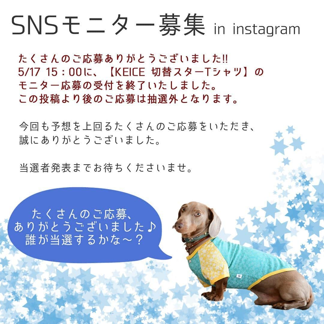 iDog&iCatさんのインスタグラム写真 - (iDog&iCatInstagram)「❄️ * #iDogSNSモニター応募 へのたくさんのご応募ありがとうございます。 エントリー応募は5/17 15:00に締切ました。これ以降のご応募は受け付けられませんのでご了承ください。 * 当選者発表までお楽しみに〜😁 * #idogicat #idog #iCat #犬の服idog」5月17日 15時18分 - idogicat