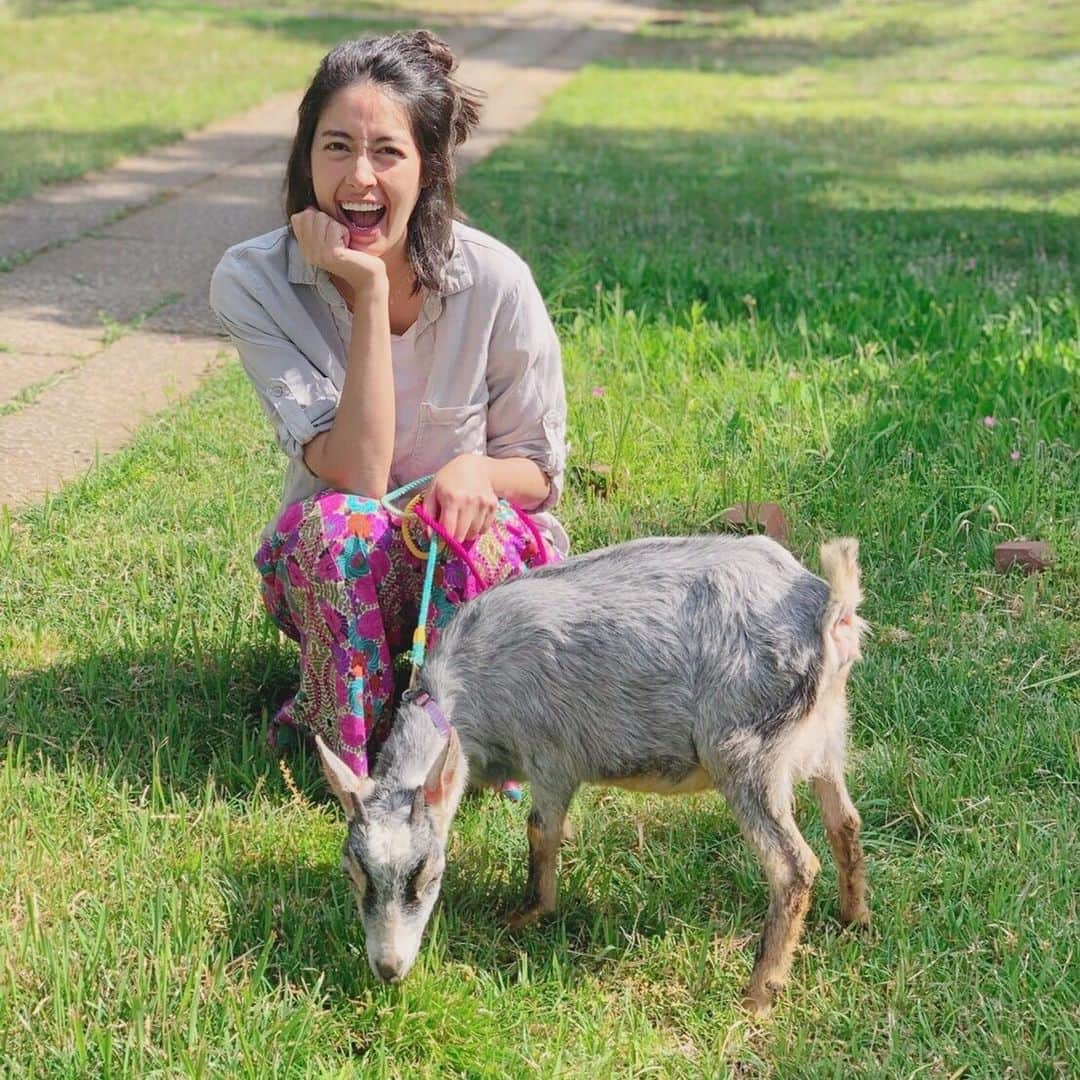 森泉さんのインスタグラム写真 - (森泉Instagram)「Rented a super cute goat to eat the growing grass🌱🐐🌱🐐🌱🐐🌱 I hope it will work out🤞」5月17日 15時54分 - izumi.mori