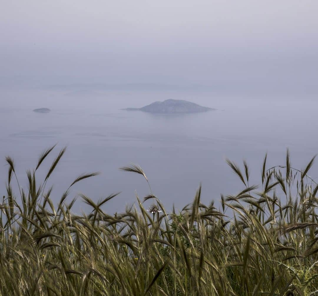 National Geographic Travelさんのインスタグラム写真 - (National Geographic TravelInstagram)「Photo by Muhammed Muheisen @mmuheisen | Breathtaking sceneries while traveling through the Peloponnese region in southern Greece. For more photos and videos from different parts of the world, follow me @mmuheisen and @mmuheisenpublic #muhammedmuheisen #Greece」5月17日 16時07分 - natgeotravel