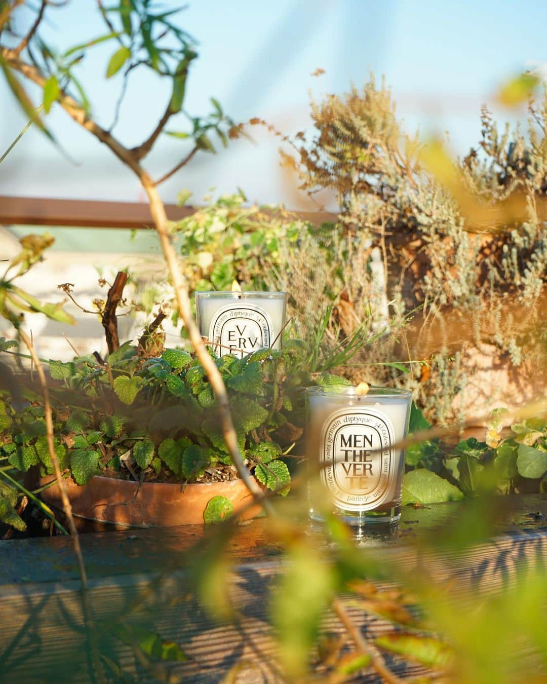 ディプティックさんのインスタグラム写真 - (ディプティックInstagram)「AN AROMATIC GARDEN The French Chef, Thierry Marx, cultivates his aromatic plants on the roof of the hotel, @mo_paris … An ideal spot for diptyque candles, Menthe Verte and Verveine to form a unique visual bond and bring their respective scents together. #diptyque #scentpairing #mentheverte #verveine #MandarinOrientalParis」5月17日 16時12分 - diptyque