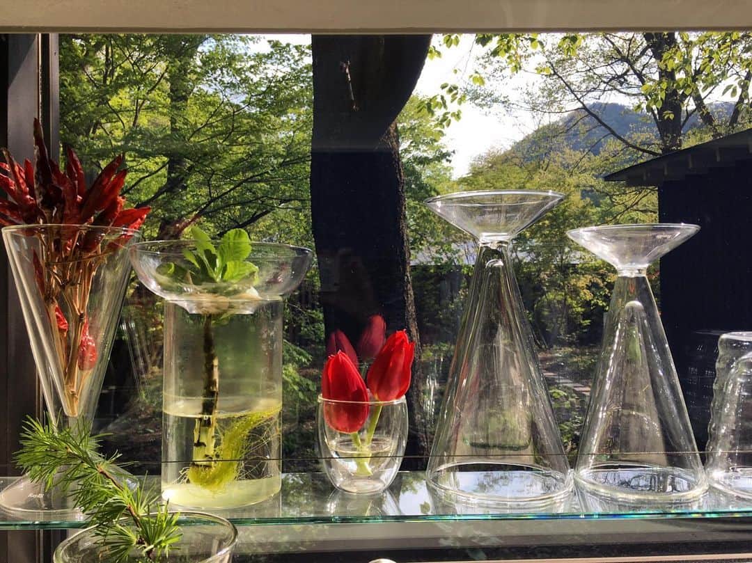 今村沙緒里さんのインスタグラム写真 - (今村沙緒里Instagram)「軽井沢へ。 新緑の季節。 自然と、光と風と。 このキッチンが大好きです。 ・ at Karuizawa. Beautiful nature🌿 ・ #karuizawa #nature #beautiful #flower #friend #kitchen #love #꽃 #사랑해 #軽井沢 #自然 #光 #風 #鳥の声 #植物係」5月17日 16時29分 - saorix13