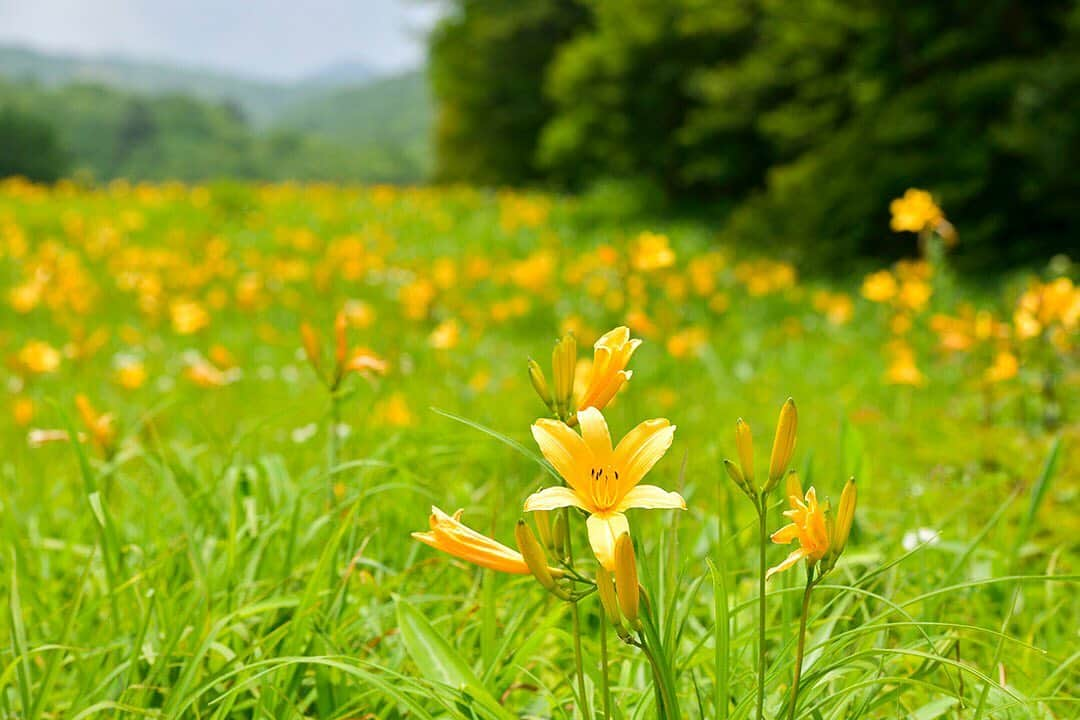 TOBU RAILWAY（東武鉄道）のインスタグラム