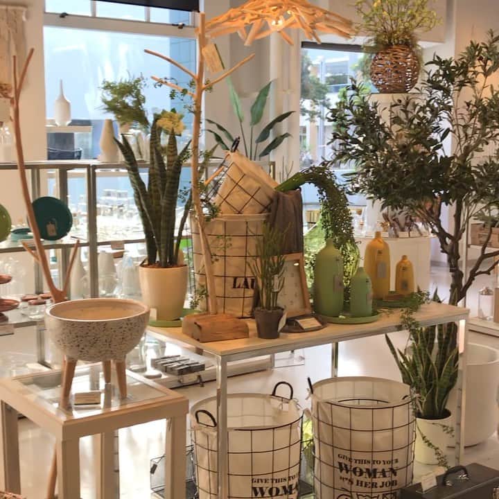 横浜ディスプレイミュージアムのインスタグラム：「本日のモダン売り場の風景。 明日はお店はお休みですが、こちらの売り場のディスプレイ変更を致します♪ 変更後の売り場をお楽しみに〜⭐️ ＊ ＊ #横浜ディスプレイミュージアム #株式会社ポピー #横浜 #ディスプレイ#アーティフィシャルフラワー #フラワーアレンジメント #フラワーデザイン #インテリア雑貨 #インテリア#インテリアコーディネート#スタイリスト#装飾#デコレーション #花のある暮らし #花好きな人と繋がりたい #ドライフラワー#ドライフラワーブーケ#wedding#display #yokohama #flowerarrangement #interiordesign #artficialflower #flowerstagram#ドライフラワーのある暮らし #グリーンのある暮らし」