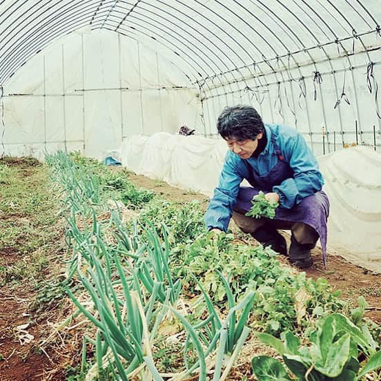 FRaUさんのインスタグラム写真 - (FRaUInstagram)「相模湖のほとりの里山にある「#すどう農園」では、畑を耕すこともしないし、農薬も除草剤も化学肥料も使わない。さらに動物性の厩肥も使わない。なぜかといえば、身の回りにないものは使わないようにしているから。ないものは使わないけれど、あるものを探して利用する。そんな“あるもの探し” で大事な繋がりを取り戻す農園です。 . SDGsが世界で注目を集める中、日本でも “持続可能であること” はキーワードになっています。FRaUでもサステナブルライフにつながる日本の活動をご紹介！ . SDGsについて、もっと知りたくなったら…… @fraumagazine のStoriesのハイライトをチェック！ . #FRaU #SDGs #エスディージーズ #持続可能性な開発目標 #SustainableDevelopmentGoals #世界を変えるための17の目標」5月17日 16時52分 - fraumagazine