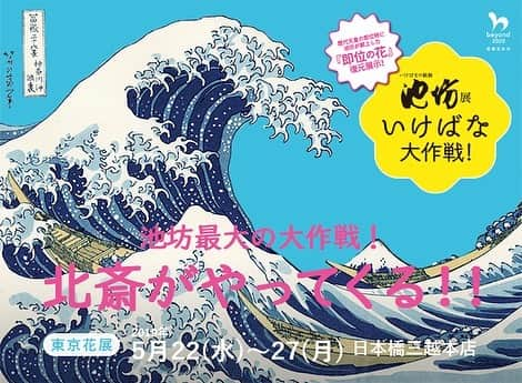 いけばな池坊さんのインスタグラム写真 - (いけばな池坊Instagram)「池坊最大の作戦！ 『北斎がやってくる！！』 5月22日〜27日@日本橋三越で開催される、東京花展「池坊×葛飾北斎」コーナーに北斎の肉筆画が5作（計6点）がやって来ます！！ しかも初公開の肉筆画が2作品！ ■北斎肉筆画「#菊図」「#秋草」「#桔梗」「#花籠図」「#糸瓜と雀図」。 また、9人の華道家が北斎の作品をモチーフにした大作を展示。北斎とのコラボをお楽しみください。 ■北斎コラボ作品のモチーフ 「#凱風快晴」「#神奈川沖浪裏」「#山下白雨」「#北斎漫画 秋田の蕗」「#諸国瀧廻り 下野黒髪山きりふりの滝」「#諸国瀧廻り 美濃ノ国養老の滝」「#総州銚子」  #池坊 #東京花展 #いけばなの根源池坊展 #葛飾北斎 #北斎 #北斎展 #グレートウェーブ #日本橋三越 #日本橋 #北斎肉筆画 #北斎漫画」5月17日 17時45分 - ikenobo550