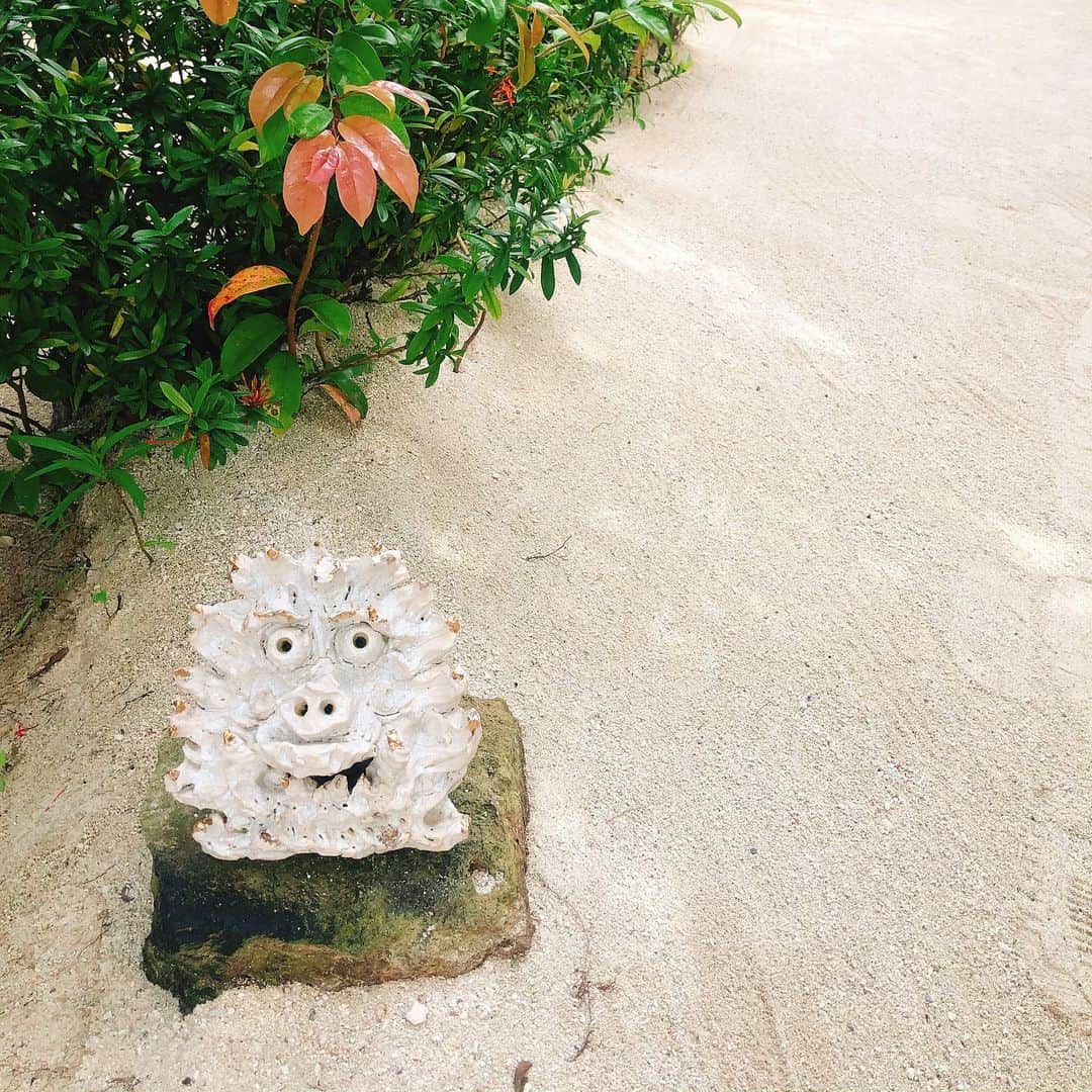 黛英里佳さんのインスタグラム写真 - (黛英里佳Instagram)「ぷらっと石垣島、竹富島へひとり旅に行ってきました😊  いつか行ってみたいなぁと思っていた竹富島🌈 ひとつの名所にもなっている竹富郵便局📮 自転車でぐるぐるまわって、ビーチでのんびり🏝  最近無性に食べたかったソーキそばも食べて大満足でした😋 #石垣島#竹富島#GW明けの平日であまり混まず#梅雨入り前滑り込みセーフ#八重山そば#大好きです」5月17日 17時47分 - erikamayuzumi_official