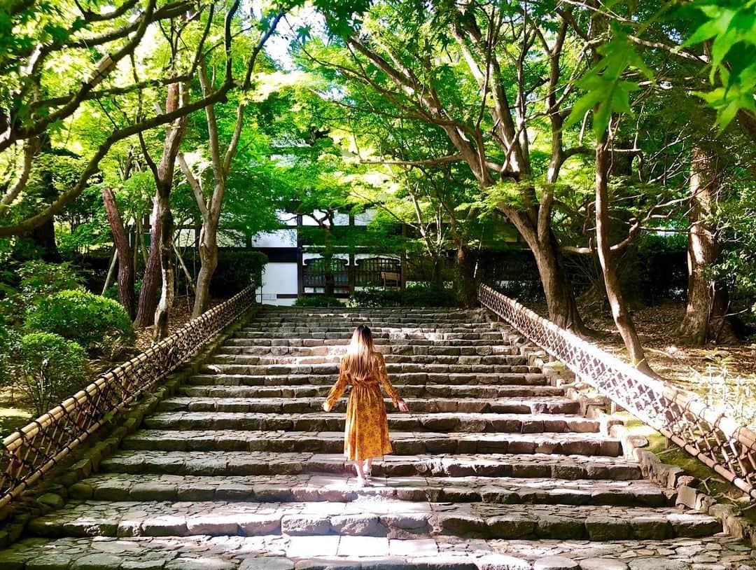 DJ mariennuさんのインスタグラム写真 - (DJ mariennuInstagram)「初の石庭。 何時間でも居られるなぁ、って思った🍵 #kyoto #京都 #石庭 #龍安寺」5月17日 18時00分 - mariennu1202