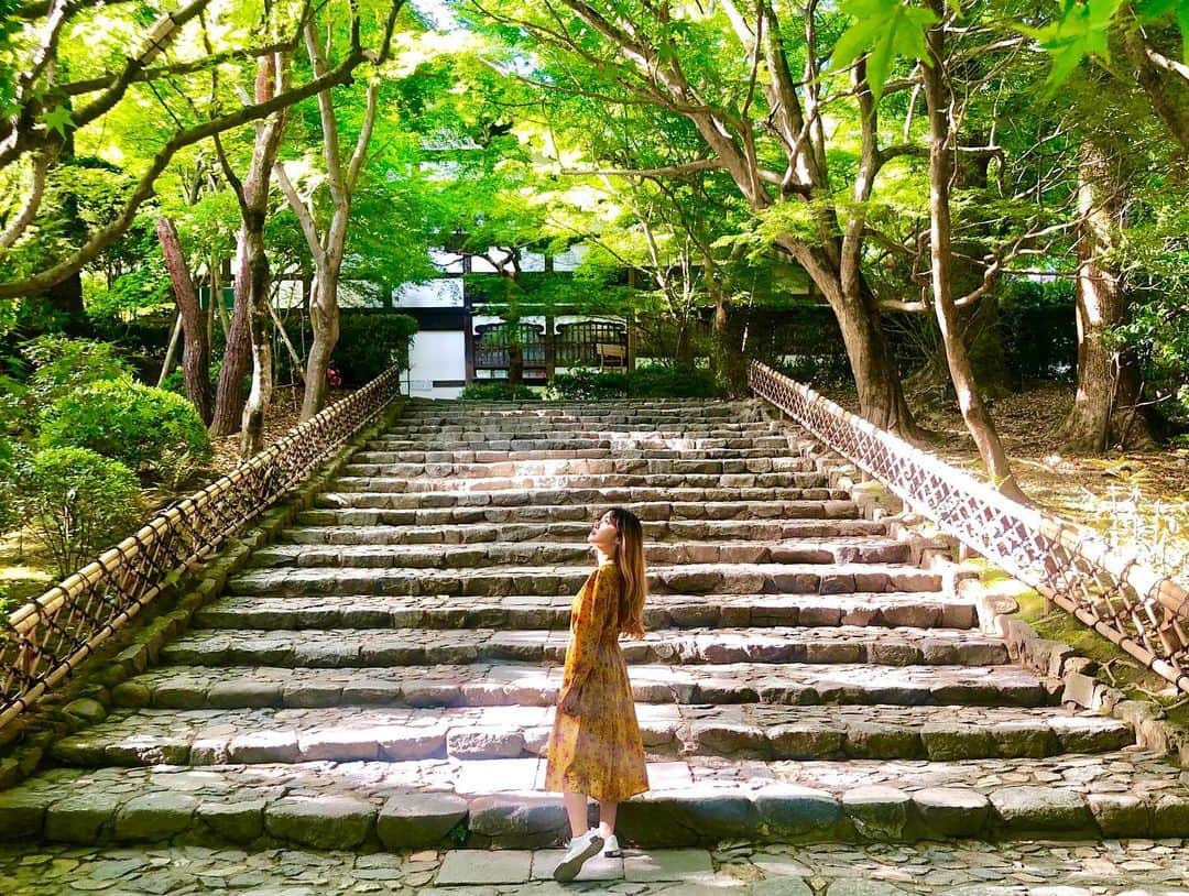 DJ mariennuのインスタグラム：「初の石庭。 何時間でも居られるなぁ、って思った🍵 #kyoto #京都 #石庭 #龍安寺」