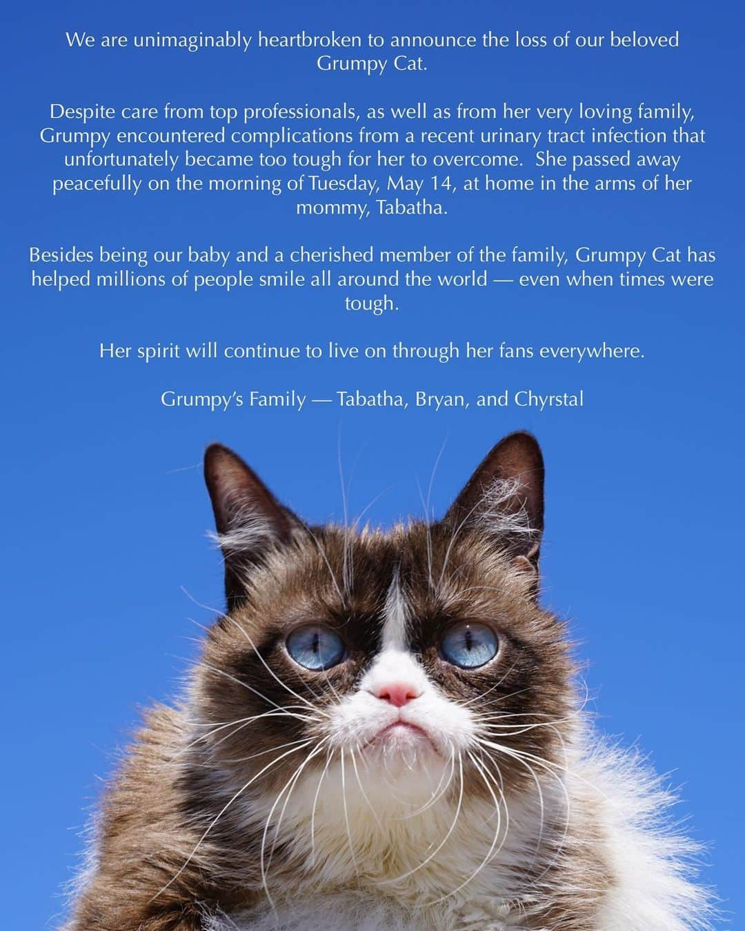 Grumpy Catさんのインスタグラム写真 - (Grumpy CatInstagram)「Some days are grumpier than others...」5月17日 18時01分 - realgrumpycat