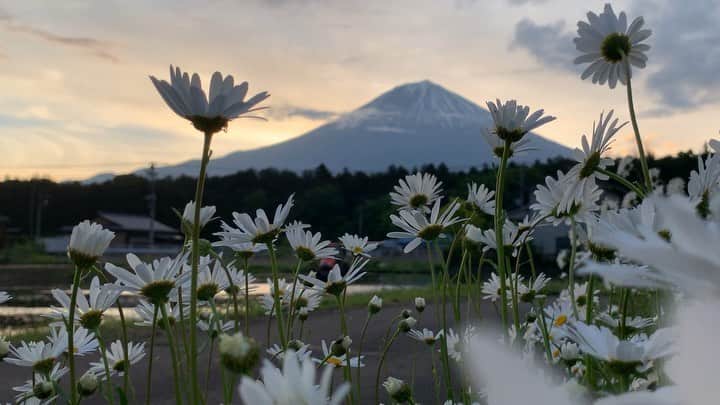 phantastic420のインスタグラム：「. 🤩🤩“Shizuoka” prefecture in Japan is a place where you can see the most “phantastic” Mt. Fuji🗻 in the world.🤩 #富士山 #mtfuji #japan #shizuoka #fujinomiya  #phantastic420photography #mostphantasticmtfuji #selamatpagi  #goodmorning  #おはようございます 😇😇😇😇😇😇😇🗻😇😇」