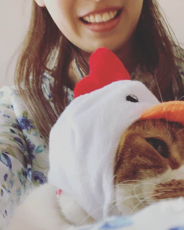 岡野綾夏のグルメインスタ