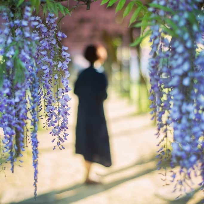 Naomiのグルメインスタ