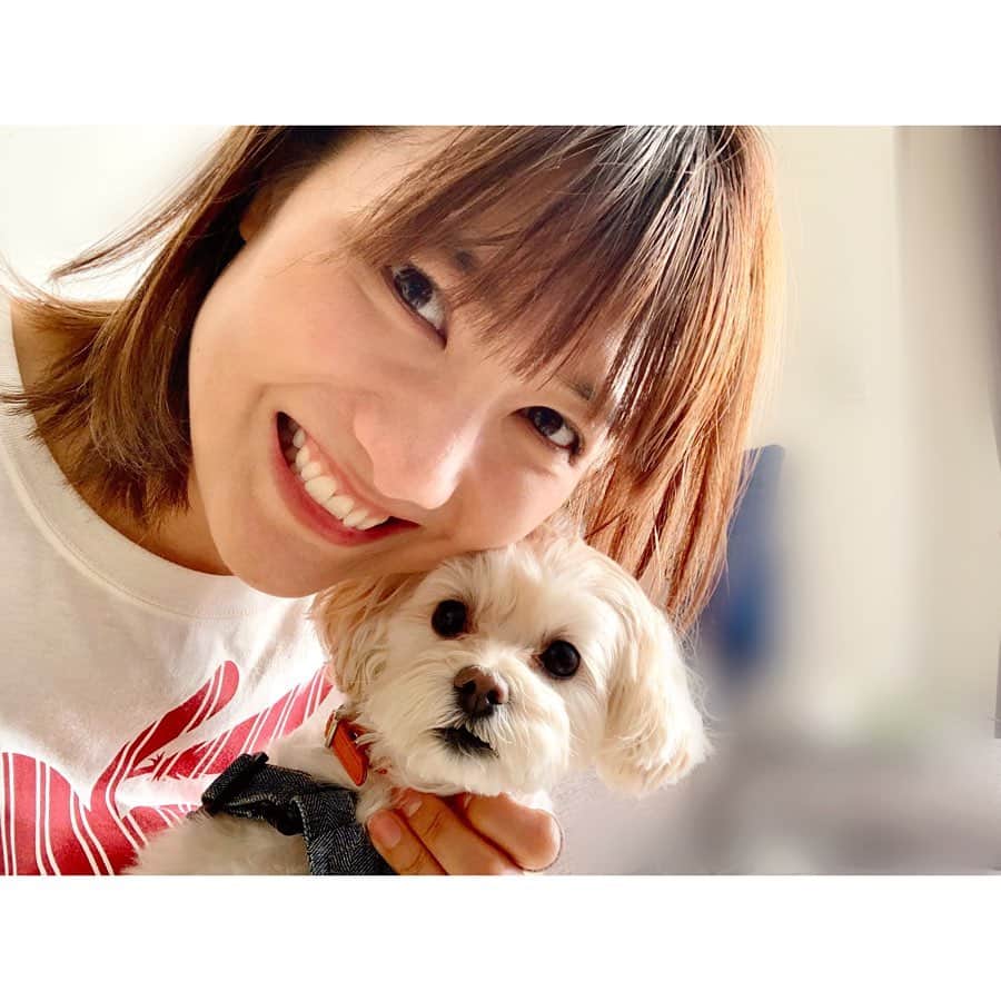 宮澤佐江さんのインスタグラム写真 - (宮澤佐江Instagram)「HBD🎉🎂🐶 今日は愛犬の3さいのお誕生日。 犬の3歳は人間でいうと28歳だそう…私とタメだね。笑 我が家に来てもうすぐ3年になりますが、3年目にして初めてお誕生日当日にちゃんとお祝いができました🎂うれしみ。 ． いつもたくさんの癒しをありがとう。 あなたのおかげで私の心があたたかくなり、お顔も優しくなれています。 これからもたくさん遊んだりお話しようね！🐶✨I love you. ． #愛犬 #マルプー #dog #0517 #hbd🎂」5月17日 21時04分 - sae_3830