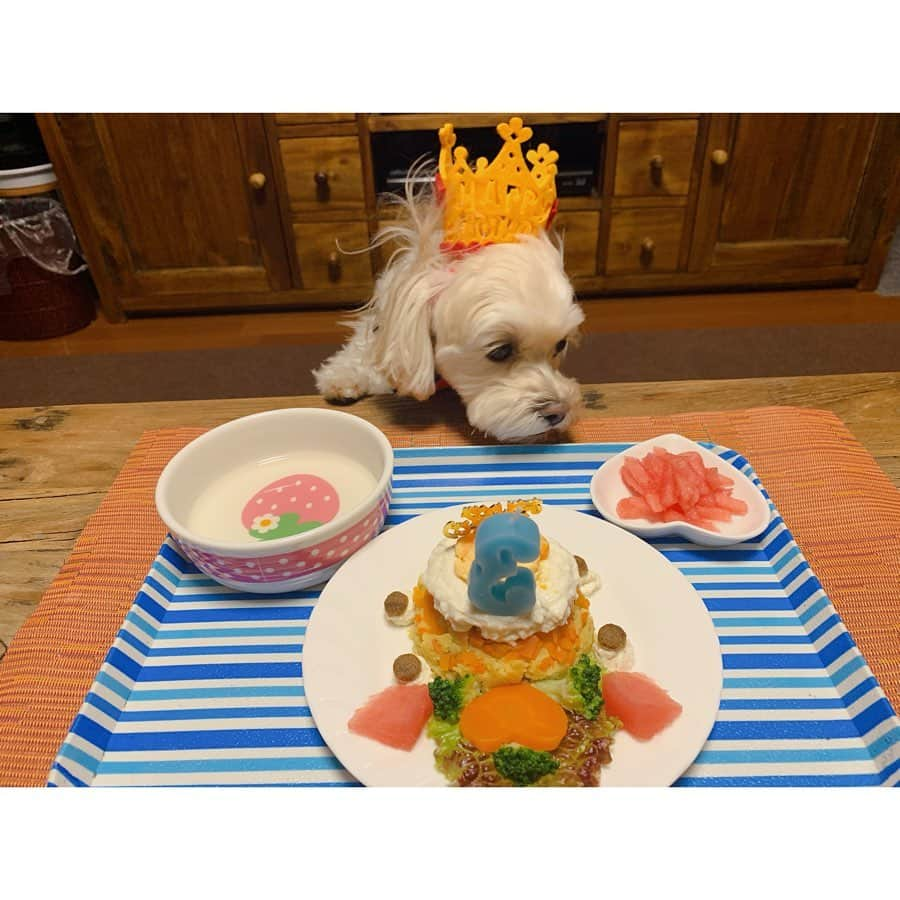 宮澤佐江さんのインスタグラム写真 - (宮澤佐江Instagram)「HBD🎉🎂🐶 今日は愛犬の3さいのお誕生日。 犬の3歳は人間でいうと28歳だそう…私とタメだね。笑 我が家に来てもうすぐ3年になりますが、3年目にして初めてお誕生日当日にちゃんとお祝いができました🎂うれしみ。 ． いつもたくさんの癒しをありがとう。 あなたのおかげで私の心があたたかくなり、お顔も優しくなれています。 これからもたくさん遊んだりお話しようね！🐶✨I love you. ． #愛犬 #マルプー #dog #0517 #hbd🎂」5月17日 21時04分 - sae_3830