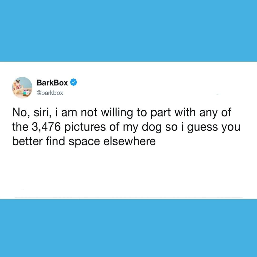 BarkBoxさんのインスタグラム写真 - (BarkBoxInstagram)「I can't pick favorites and how dare you ask that of me.」5月17日 21時01分 - barkbox