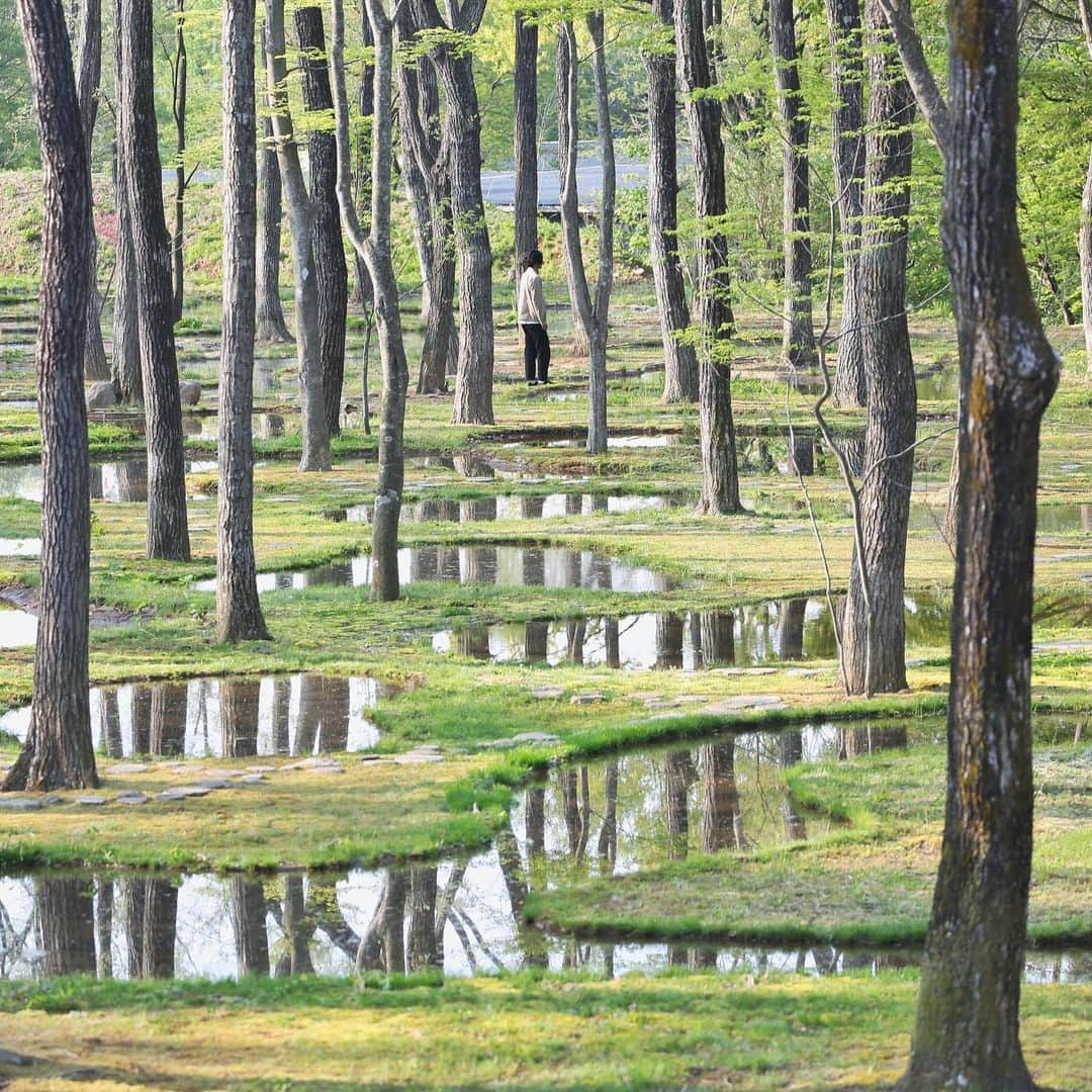 川内悠子のインスタグラム：「* 水庭 / Water Garden #石上純也 #JunyaIshigami  @artbiotop #artbiotop #mizuniwa #watergarden #biotop #garden #artinstallation #naturelovers #landscapephotography #landscapehunter #architecture #archilovers #archdaily #archhunter #countyside #instagramjapan #アートビオトープ那須 #水庭 #建築探偵」