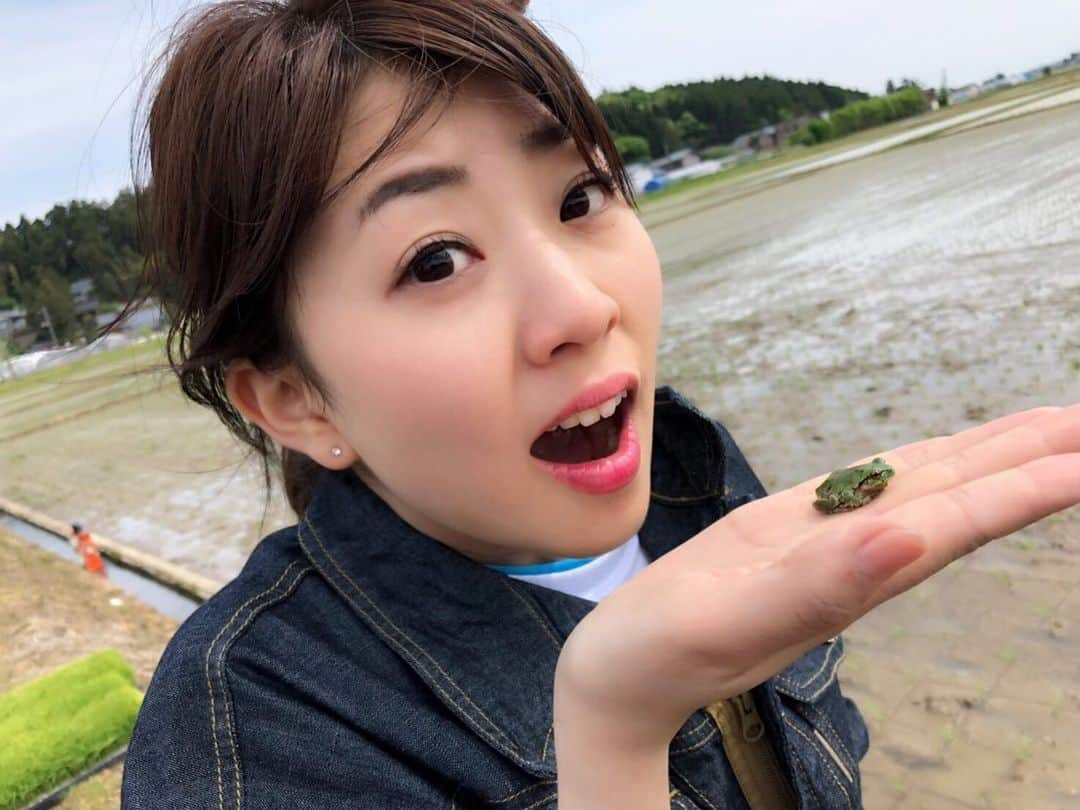 三石佳那さんのインスタグラム写真 - (三石佳那Instagram)「新潟県内、最近水の張った田んぼの風景をよくみるようになってきました。﻿ ﻿ ﻿ 私は、なじラテメンバーと﻿ 5月上旬に弥彦で田植えをしてきました。﻿ ﻿ ﻿ 今、日本酒造りに挑戦してますが﻿ まずは米作り。第一歩です。﻿ ﻿ 詳細はあすのBSNテレビ﻿ なじラテで☺︎﻿ ﻿ ﻿ カエル何年ぶりかに触りました🐸﻿ 自然はやっぱり癒されるな。﻿ ※苦手な方ごめんなさい。﻿ ﻿ #酒造り#田植え#米作り#弥彦#弥彦酒造#伊弥彦米 #新潟#niigata#なじラテ#工藤淳之介#チカコホンマ #三石佳那#アナウンサー﻿ ﻿」5月17日 21時17分 - mitsuishi_kana_bsn