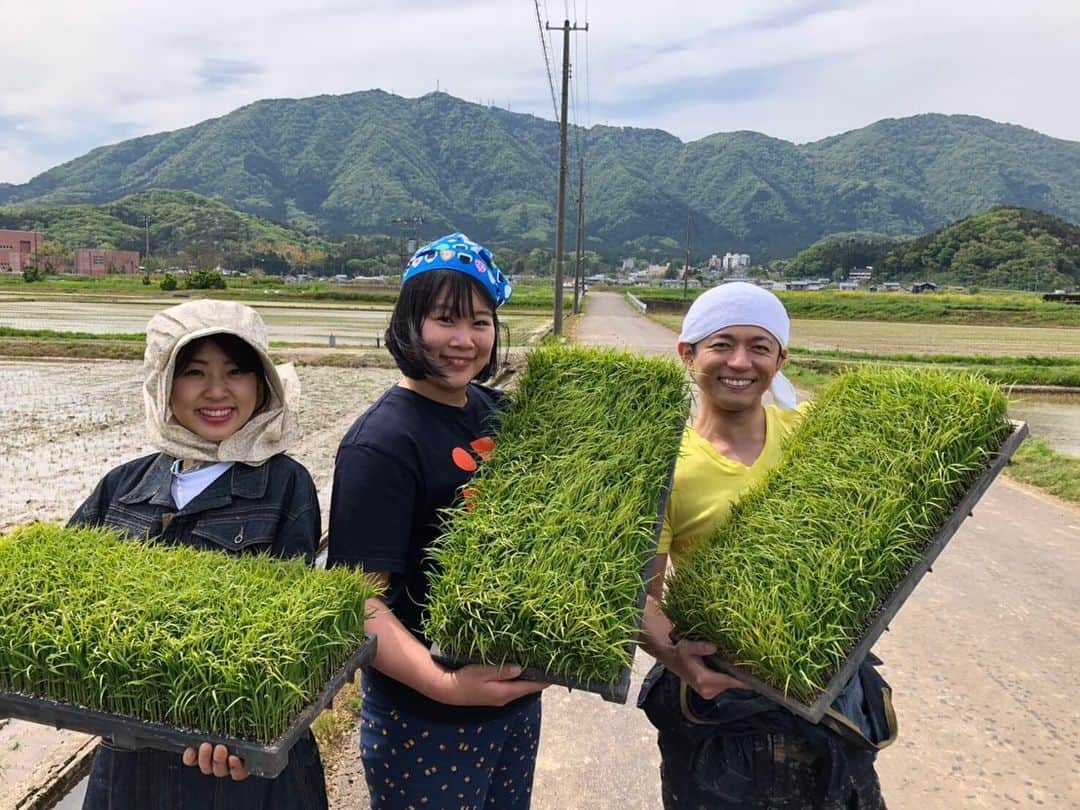 三石佳那さんのインスタグラム写真 - (三石佳那Instagram)「新潟県内、最近水の張った田んぼの風景をよくみるようになってきました。﻿ ﻿ ﻿ 私は、なじラテメンバーと﻿ 5月上旬に弥彦で田植えをしてきました。﻿ ﻿ ﻿ 今、日本酒造りに挑戦してますが﻿ まずは米作り。第一歩です。﻿ ﻿ 詳細はあすのBSNテレビ﻿ なじラテで☺︎﻿ ﻿ ﻿ カエル何年ぶりかに触りました🐸﻿ 自然はやっぱり癒されるな。﻿ ※苦手な方ごめんなさい。﻿ ﻿ #酒造り#田植え#米作り#弥彦#弥彦酒造#伊弥彦米 #新潟#niigata#なじラテ#工藤淳之介#チカコホンマ #三石佳那#アナウンサー﻿ ﻿」5月17日 21時17分 - mitsuishi_kana_bsn