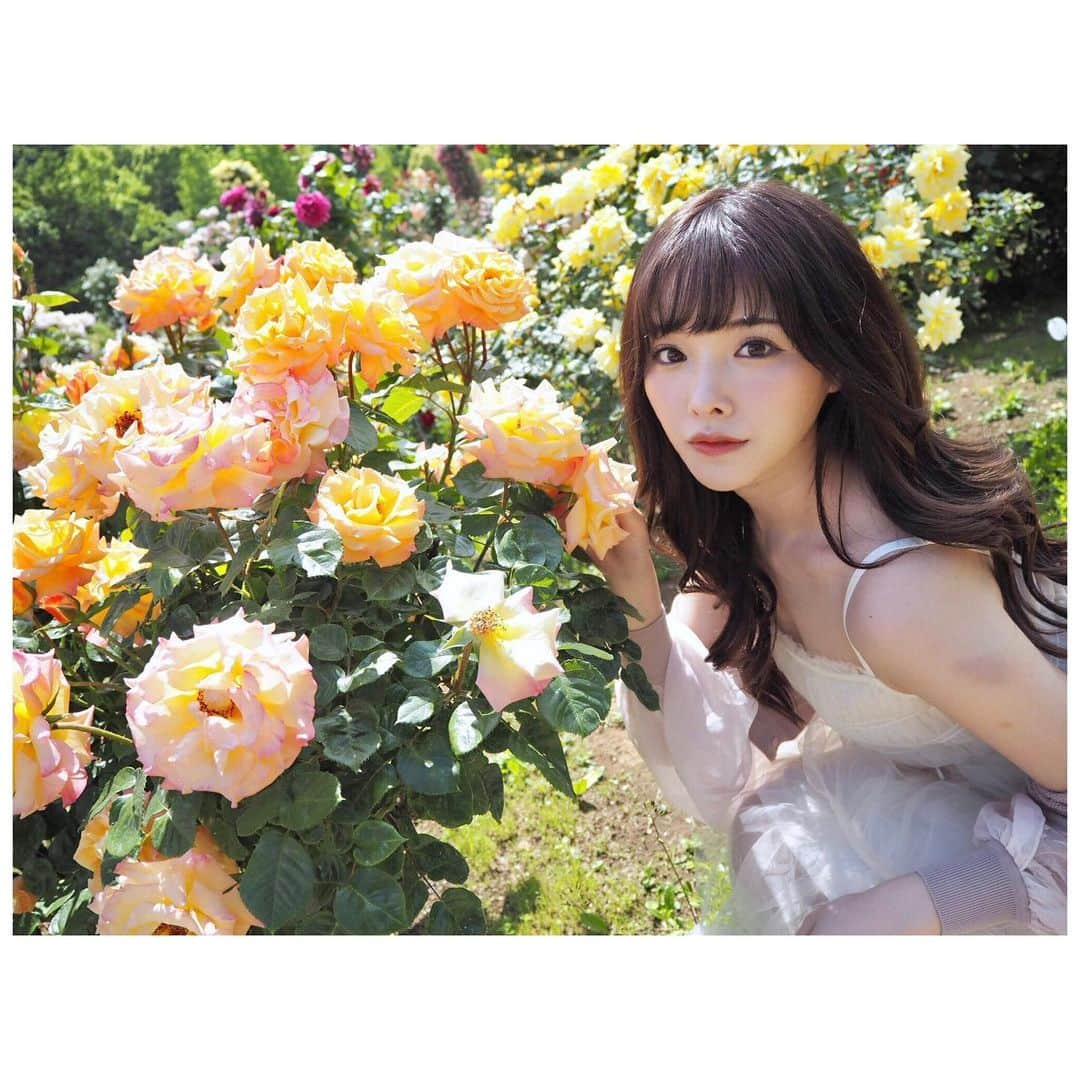 橋本ありなのインスタグラム：「バラの美しさといい香りに癒された🌹」