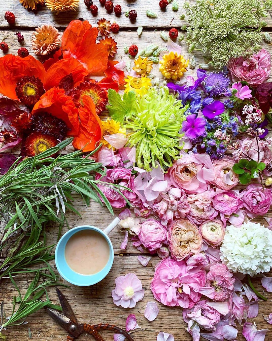 Tea and sittingのインスタグラム：「🌿💗...I have just published a blog post about how I’m much happier to define myself a ‘freelancer', rather than someone running a creative business. If you want to hear about my full creative journey from my entrepreneurial mother to my first ever Instagram post, this is a read you might enjoy...there’s also a real scrap book full of images on there! 🤩✨ • link to my blog piece via my profile or through my Stories •」