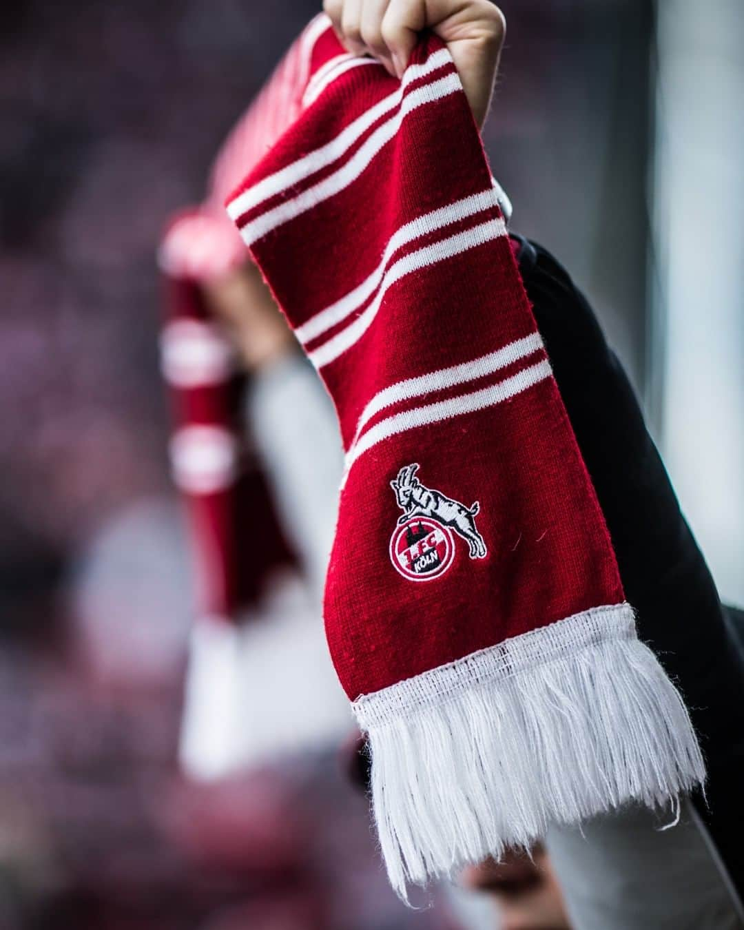 1.FCケルンさんのインスタグラム写真 - (1.FCケルンInstagram)「2.000 #effzeh-Fans begleiten die Mannschaft zum letzten Saisonspiel in Magdeburg. ❤⚪」5月17日 22時00分 - fckoeln