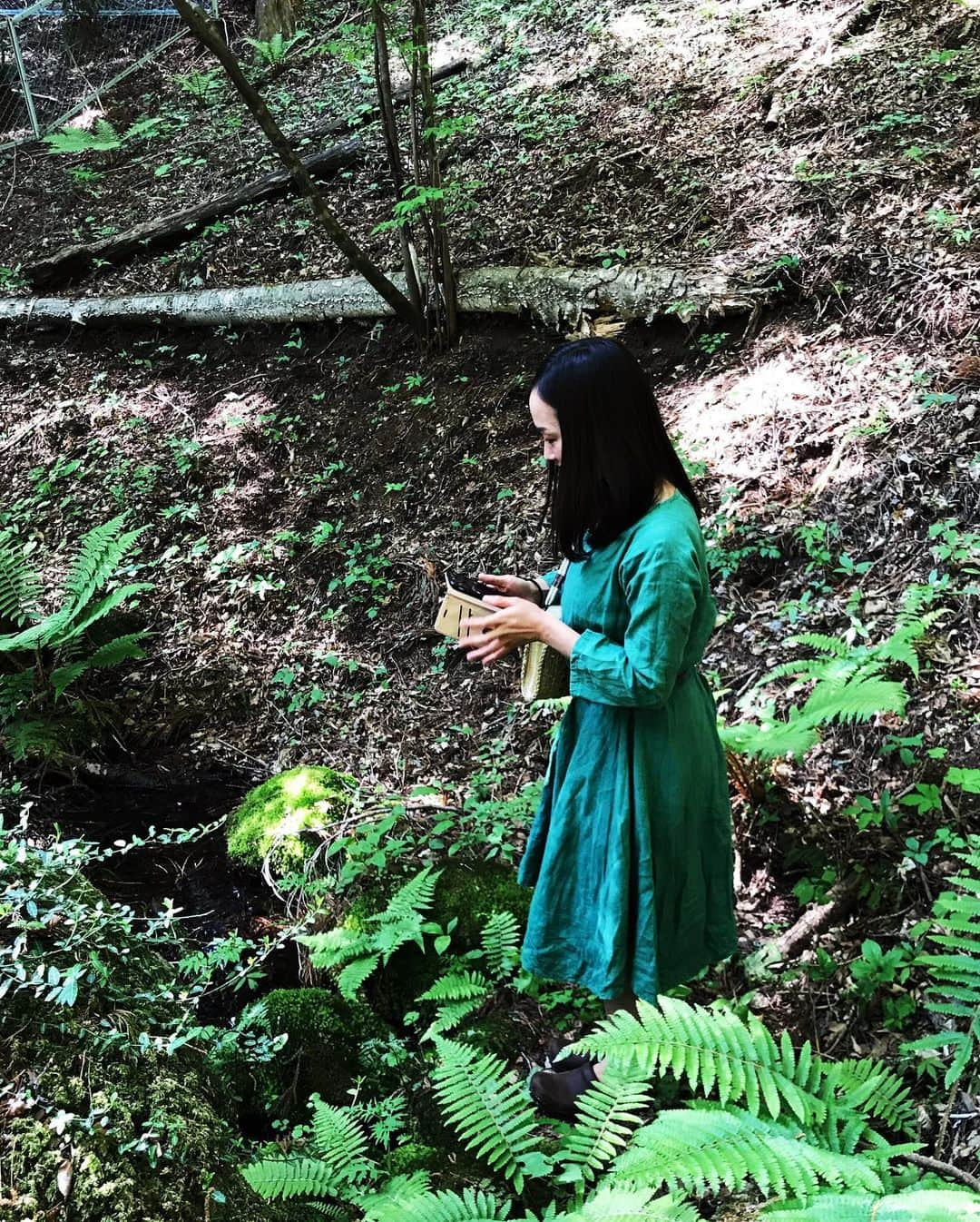 蓮沼千紘さんのインスタグラム写真 - (蓮沼千紘Instagram)「In the forest.  宮崎駿さんの住処も近くの土地。 千と千尋やもののけ姫、トトロにナウシカにラピュタなど作品に多大なる影響を与えたことを感じた。 聖なる湧き水を目指して。 山の神様にご挨拶。🙏. . . 山の中にいる虫は平気なのに都会にいる虫はダメなのなんでだろうね。 人間て二足歩行とか気持ち悪いよね。 なんて会話。笑  人工物の音のない場所。  天気が良くてよかった。  気持ちがいい。 ただそれだけ。  #japan #forest #源泉 #泉龍 #trekking」5月17日 22時15分 - knitchihiro