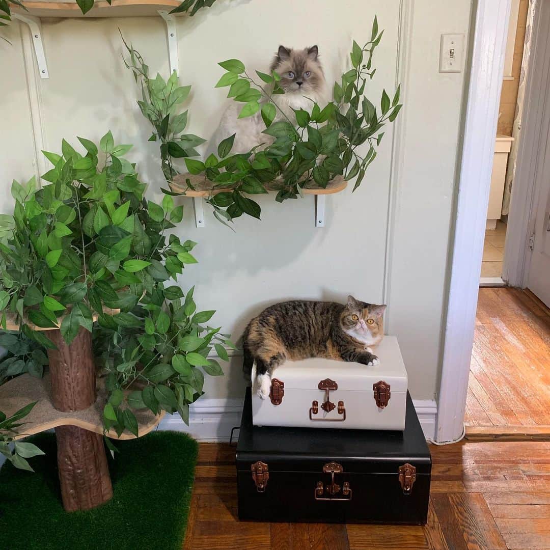 Tinaのインスタグラム：「Friday? We are ready! 🙌🏻😻#FriYay」