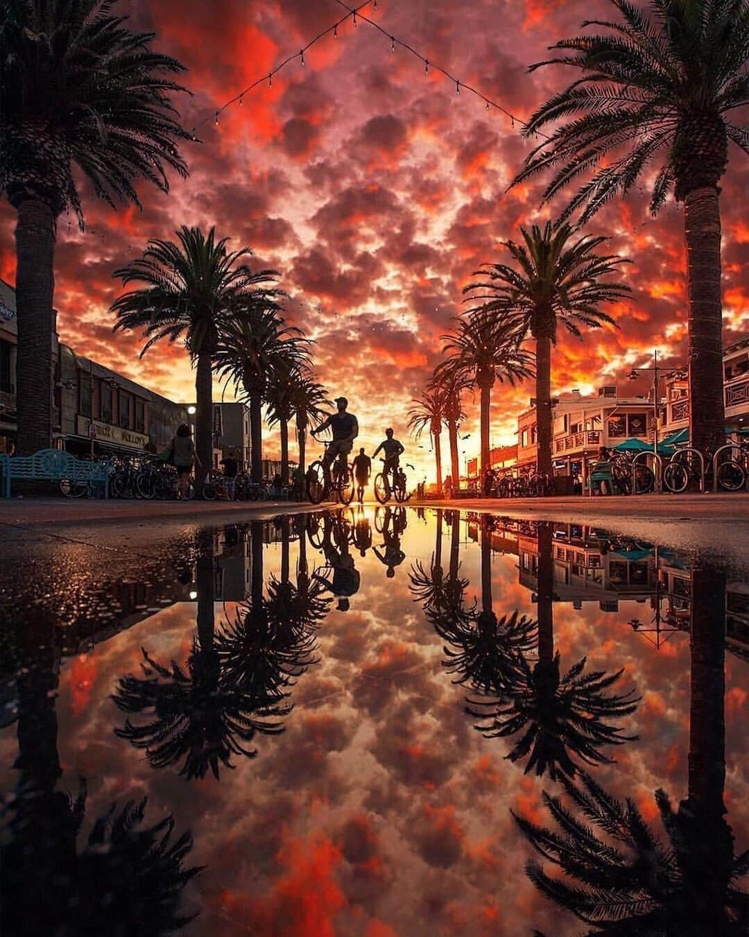 Canon Photographyさんのインスタグラム写真 - (Canon PhotographyInstagram)「A stunning sunset reflection at Hermosa Beach, Los Angeles.  Photography | @natecarroll.la  #la #losangeles #reflectiongram #reflection #sunset #palmtrees」5月17日 22時44分 - cpcollectives