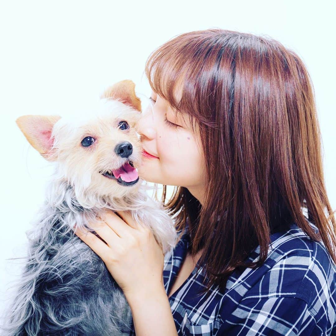 Willy Wonkaさんのインスタグラム写真 - (Willy WonkaInstagram)「久しぶりにモデルのお仕事だわふっ。 「CHU犬ハチ公」フォトコンテストに参加させていただいきました。とっても優しくて可愛いのんちゃんとの撮影。久しぶりでちょっと緊張したけど楽しかったわっふ。  詳しくは、 @chu_ken8kou まで  #CHU犬ハチ公#ハチ公プリン#渋谷」5月17日 22時54分 - okushibu_dogs