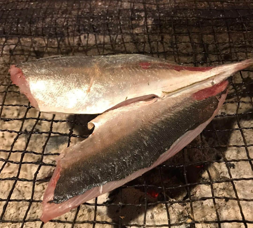 のインスタグラム：「アジの開きを仕込み中！ 炭焼きは当店でも人気商品です。 是非ご賞味ください。  #個室#イーマ#photooftheday #instafood #instagood #photographer #和食#ブライダル#居酒屋#梅田#いいね#まかない#osaka#ランチ#予約#米活#女子会#宴会#日本酒#阪神百貨店#駅近#サプライズ#ママ会」