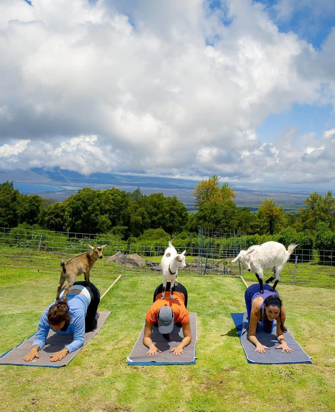 Airbnbさんのインスタグラム写真 - (AirbnbInstagram)「You’ve heard of tree pose and mountain pose. But have you tried desert pose, paddle-board pose or goat-pasture pose? ⠀⠀⠀⠀⠀⠀⠀ Find your breath in breathtaking locations with @AirbnbExperiences. Click the link in our bio for more.」5月18日 0時21分 - airbnb