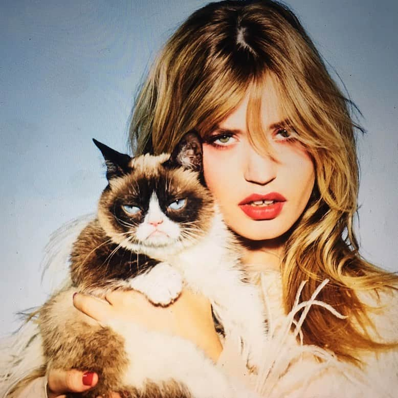 エレン・ヴォン・アンワースさんのインスタグラム写真 - (エレン・ヴォン・アンワースInstagram)「2 grumpy 😾 super⭐️⭐️ @realgrumpycat 💕 @georgiamayjagger 💕 shot by me for @opel campaign」5月18日 0時41分 - ellenvonunwerth