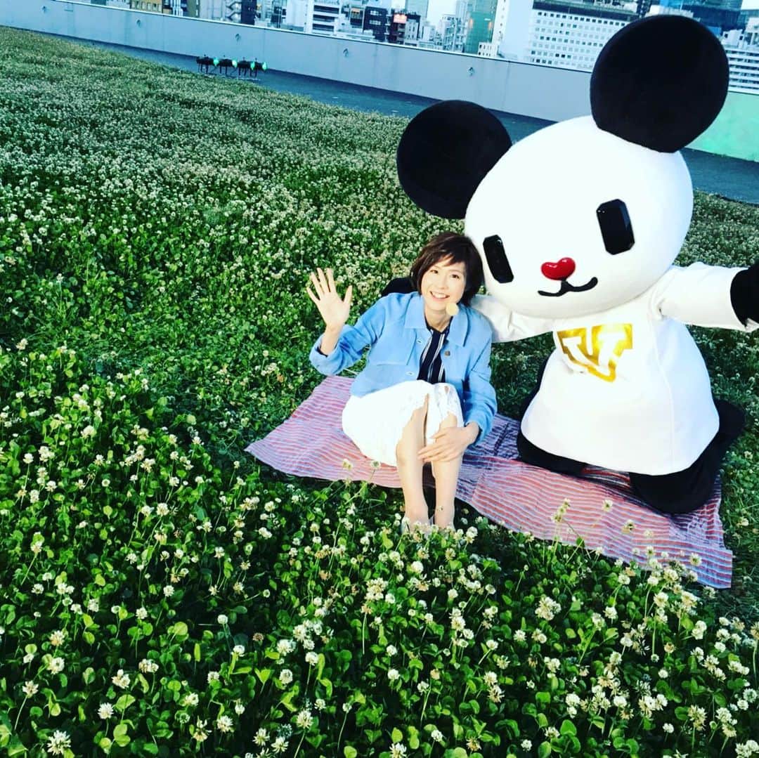 今村涼子さんのインスタグラム写真 - (今村涼子Instagram)「今日の#ゴーちゃん 都会のど真ん中で#ピクニック気分  テレ朝の屋上は今、野原状態なんです。今週もお疲れ様でした！」5月18日 0時34分 - ryoko.imamu