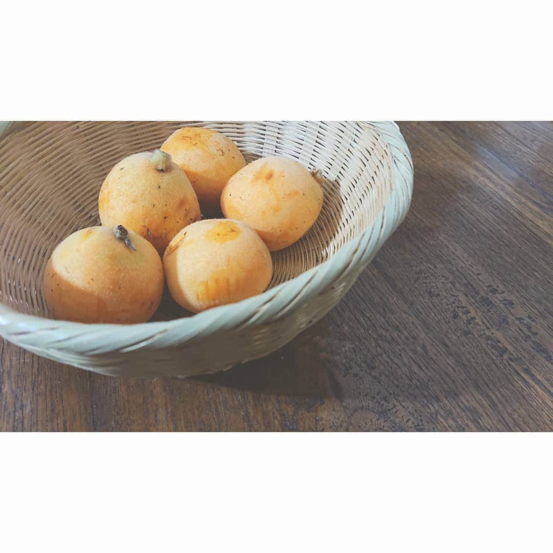 加藤沙知さんのインスタグラム写真 - (加藤沙知Instagram)「びわ。  卵形は可愛く、優しい甘さが好きです。  皮がすーっと剥けるのもいい感じ。  旬の味は美味しい。  #旬 #くだもの #びわ」5月18日 1時11分 - mrt.kato